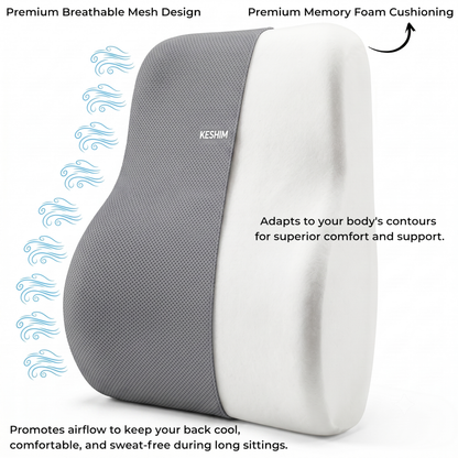Keshim Memory Foam Lumbar Support Pillow for Office Chair, Car Seat & Gaming Chair – Ergonomic Lower Back Cushion with Premium Breathable Mesh Cover for Back Pain Relief & Posture Support